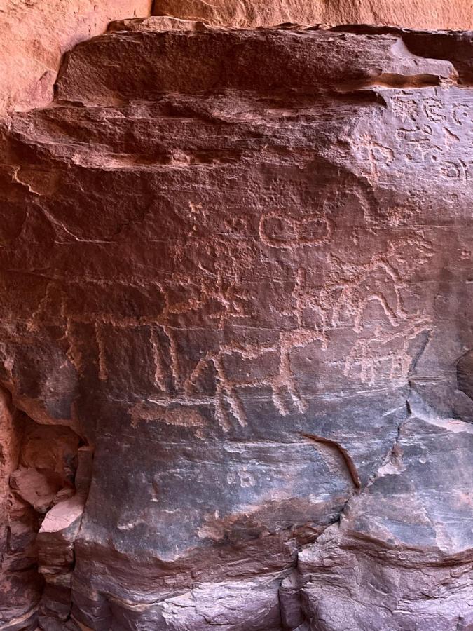 Wadi Rum Bedouin Heart Camp 외부 사진