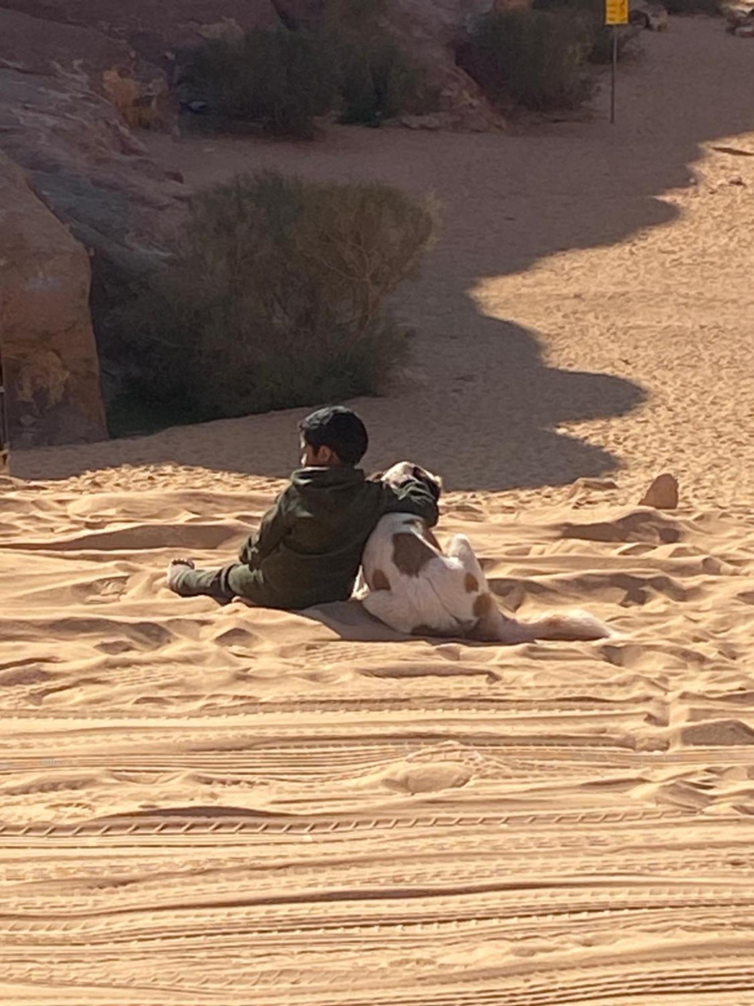 Wadi Rum Bedouin Heart Camp 외부 사진