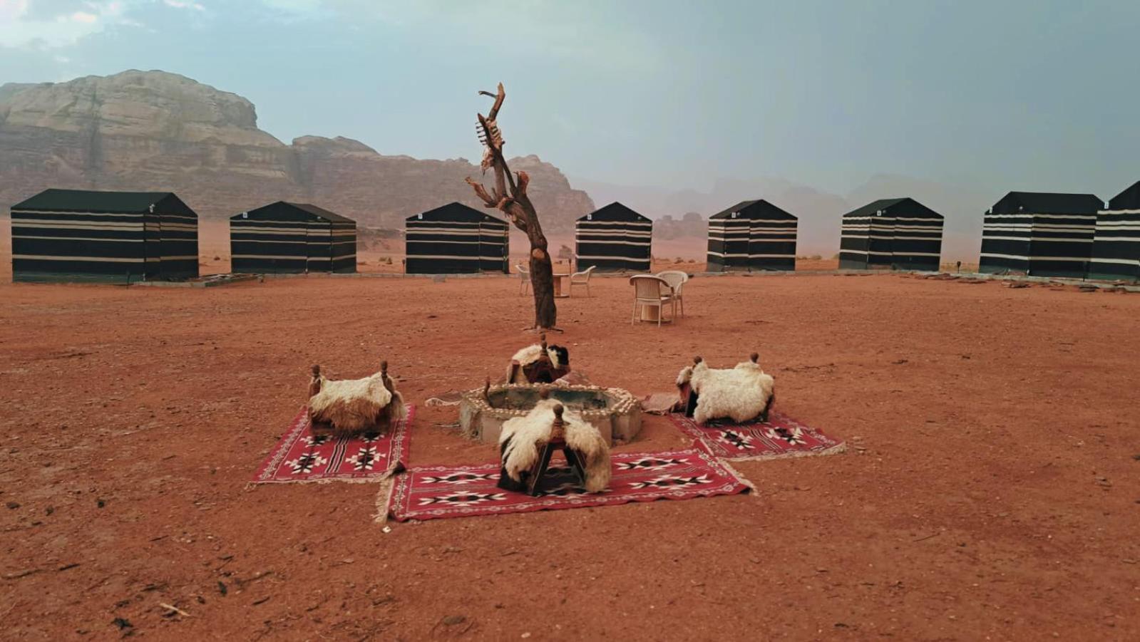 Wadi Rum Bedouin Heart Camp 외부 사진